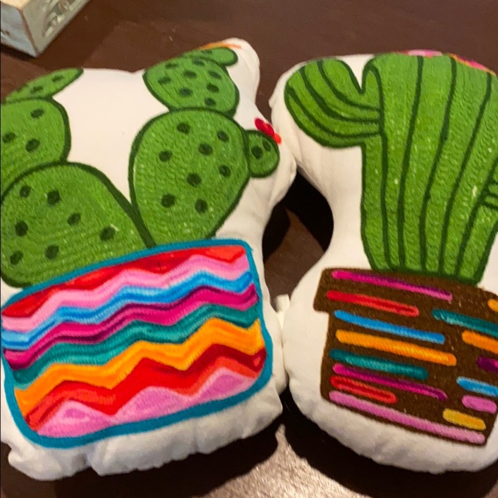 Colorful Cactus Pillows